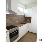 Rent 1 bedroom apartment in Praha 3