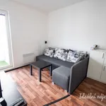 Rent 2 bedroom apartment in Brno