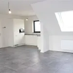  appartement avec 1 chambre(s) en location à PUURS