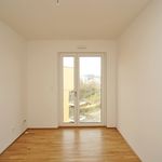 Miete 3 Schlafzimmer wohnung von 90 m² in Dresden