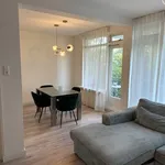 Rent 3 bedroom apartment in Rotterdam