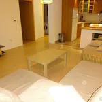 Rent 1 bedroom apartment in Prague