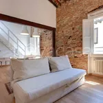 Rent 1 bedroom apartment of 50 m² in Firenze