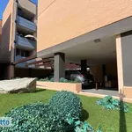 Rent 3 bedroom apartment of 85 m² in Bologna