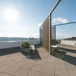 Rent 2 bedroom flat in Brighton