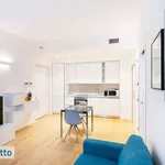 Rent 2 bedroom apartment of 45 m² in Milan