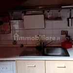 Rent 1 bedroom apartment of 30 m² in Torino