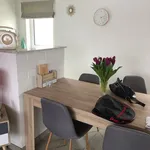 Rent 1 bedroom apartment in Leuven