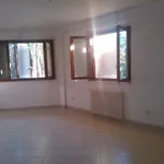 Rent 3 bedroom apartment of 70 m² in Massa