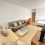 Rent 4 bedroom apartment in Jerez de la Frontera