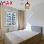 Rent 2 bedroom apartment of 48 m² in Płock