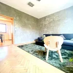 Rent 2 bedroom apartment of 75 m² in Uherský Brod