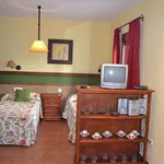 Rent 1 bedroom apartment of 35 m² in Cadiz']