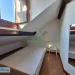 Rent 3 bedroom apartment of 100 m² in Milan