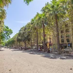 Alquilar 4 dormitorio apartamento en Barcelona