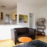 398 m² Studio in Cologne