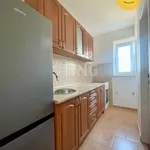 Rent 3 bedroom apartment of 65 m² in Dubňany