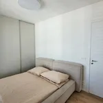 Rent 3 bedroom apartment of 126 m² in Capital City of Prague