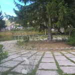 Rent 3 bedroom apartment of 100 m² in Pizzoli