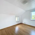 Huur 3 slaapkamer huis van 1149 m² in Ferrières