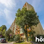 Rent 2 bedroom apartment of 40 m² in Rzeszów