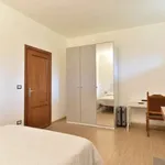 Rent a room of 120 m² in rome