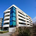 Rent 3 bedroom apartment of 65 m² in Genève