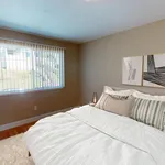 Rent 1 bedroom house in San Francisco