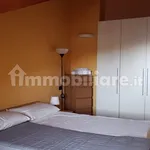 Rent 2 bedroom apartment of 52 m² in Turin