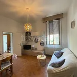 Rent 5 bedroom house of 190 m² in Bologna