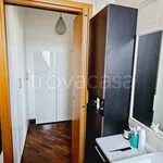 Rent 2 bedroom apartment of 50 m² in Milano