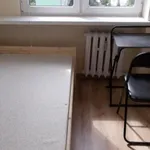 Rent a room of 10 m² in Toruń