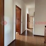 Rent 5 bedroom apartment of 90 m² in Orbetello