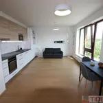 Pronajměte si 2 ložnic/e byt o rozloze 60 m² v Prague