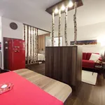 Rent 1 bedroom apartment of 45 m² in Nuremberg