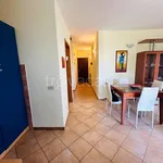 Rent 1 bedroom apartment of 60 m² in Fiumicino