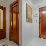 Alquilar 3 dormitorio apartamento en Granada