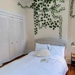 Rent 1 bedroom apartment in New York