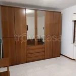 Rent 3 bedroom apartment of 62 m² in Nettuno