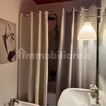 Rent 3 bedroom apartment of 80 m² in Turin