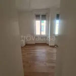 Rent 3 bedroom apartment of 100 m² in Milano