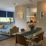 Rent 1 bedroom apartment in berlin