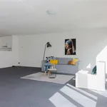 Huur 2 slaapkamer appartement van 116 m² in Den Haag