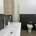 Rent 1 bedroom apartment in Milan