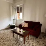 Rent 4 bedroom apartment of 120 m² in Palermo