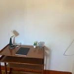 Alugar 5 quarto apartamento em Coimbra