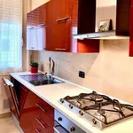 Rent 2 bedroom apartment of 85 m² in Parma