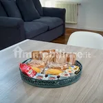 Rent 3 bedroom apartment of 61 m² in Bologna