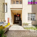 Rent 1 bedroom apartment in Praha 2