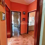 Rent 3 bedroom apartment of 65 m² in Padua